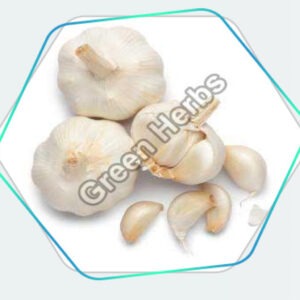 Fresh
                                            Garlic