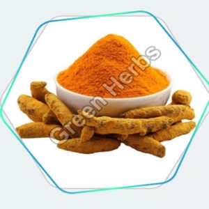 Turmeric Powder